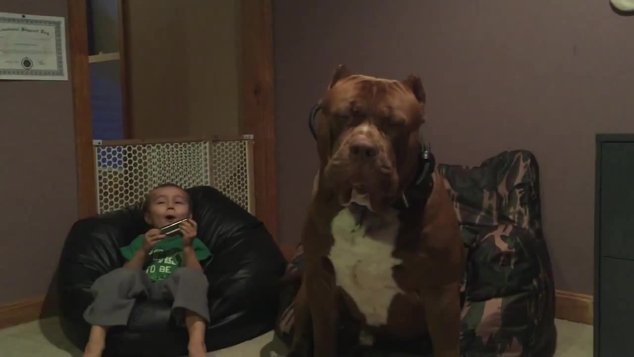 THE HULK of ddkline & His brother singing a song! - Coub