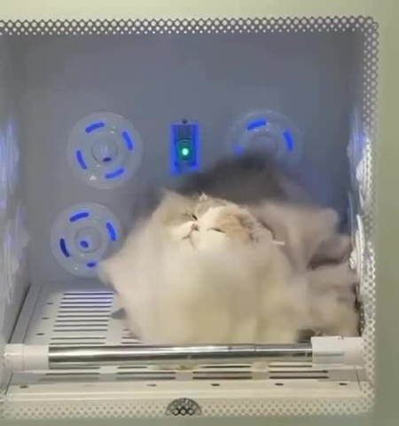 It’s wonderful