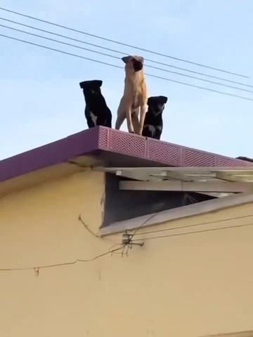 ­