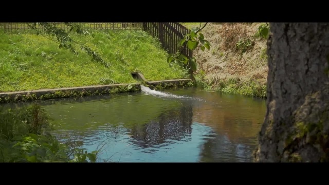 Hirosaki Park 【弘前公園】