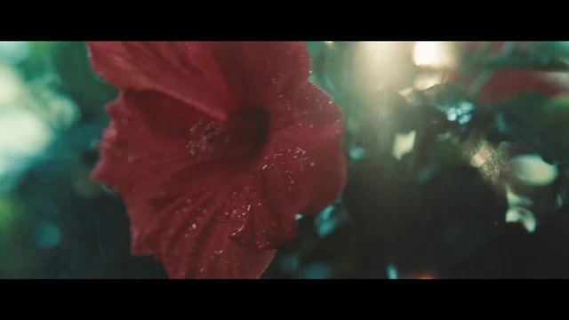 La valse à mille temps