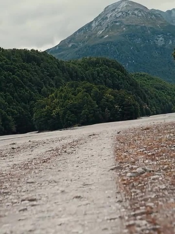 🏞️𝘽𝙧𝙖𝙙 𝙋𝙞𝙩𝙩 𝙛𝙤𝙧 𝙂𝙌