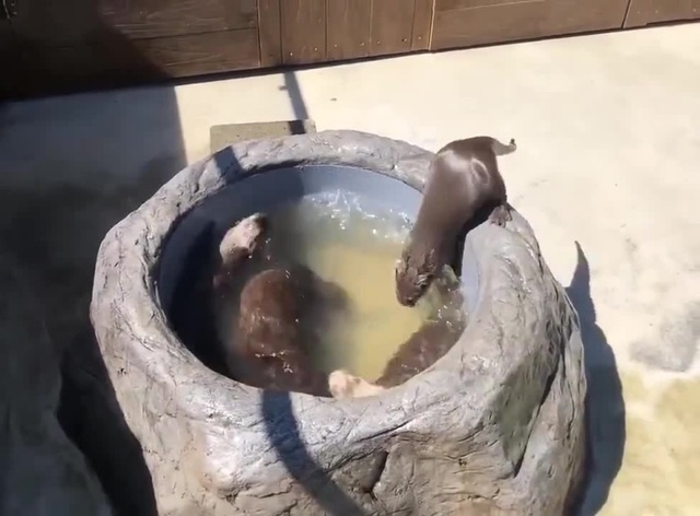 You Spin Me Round 