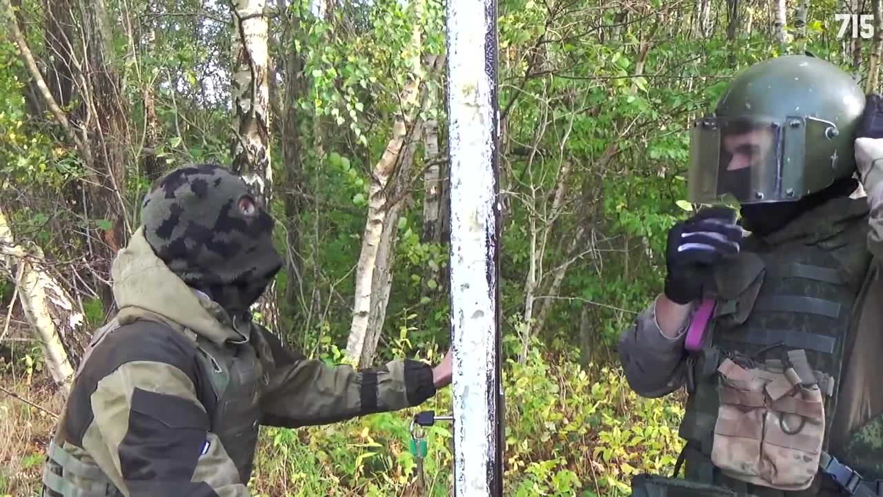 715 team. 715 team хорс. 715 team прокопенко. 715 team хорс. 715 тип.