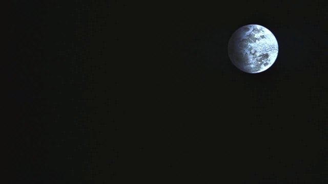 Observer
