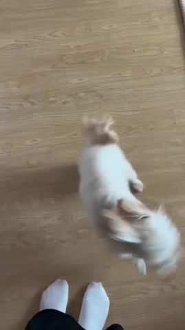 welcome home!