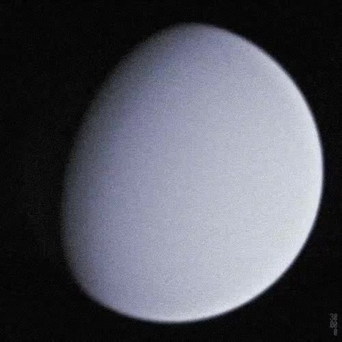 scan
