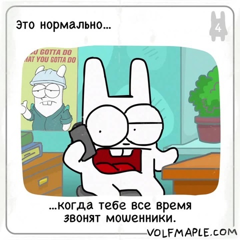 Rabbit Travel - Это нормально... когда тебе все время звонят мошенники.