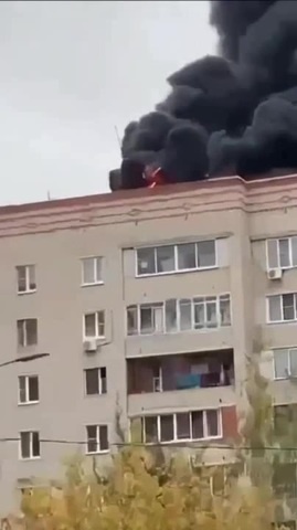 Жизнь идёт своим чередом. - Coub