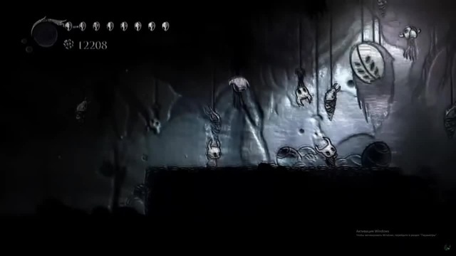 Hollow Knight