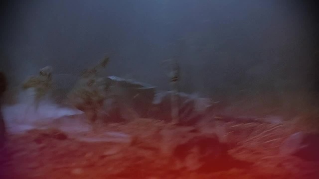 old pirate bones