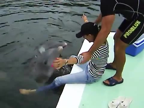Dolphin Sex with human 2
