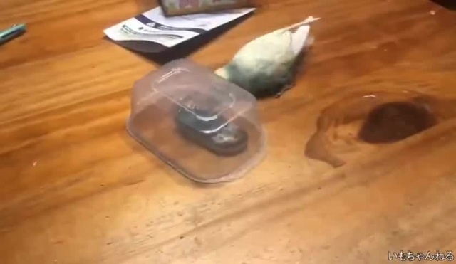 ....