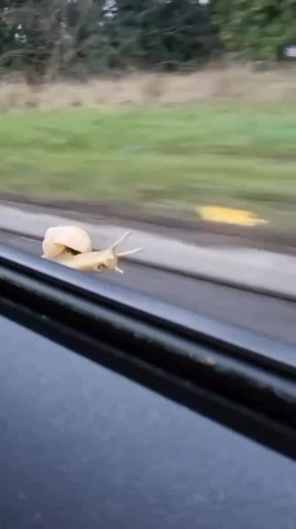 need 4 speed