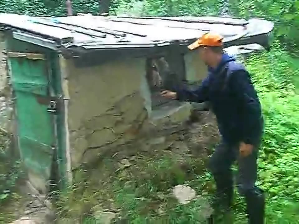 Қарт қара әйелдердің порно видеолары