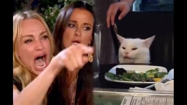 Шевеление котят при беременности: на каком сроке вы впервые это почувствуете?