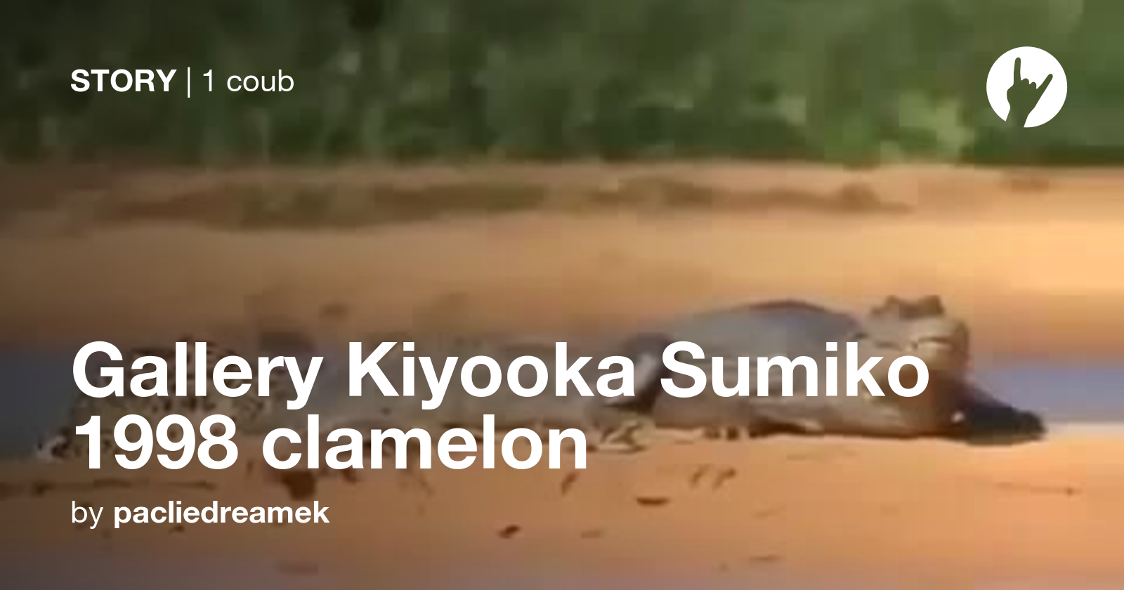 Gallery Kiyooka Sumiko 1998 clamelon